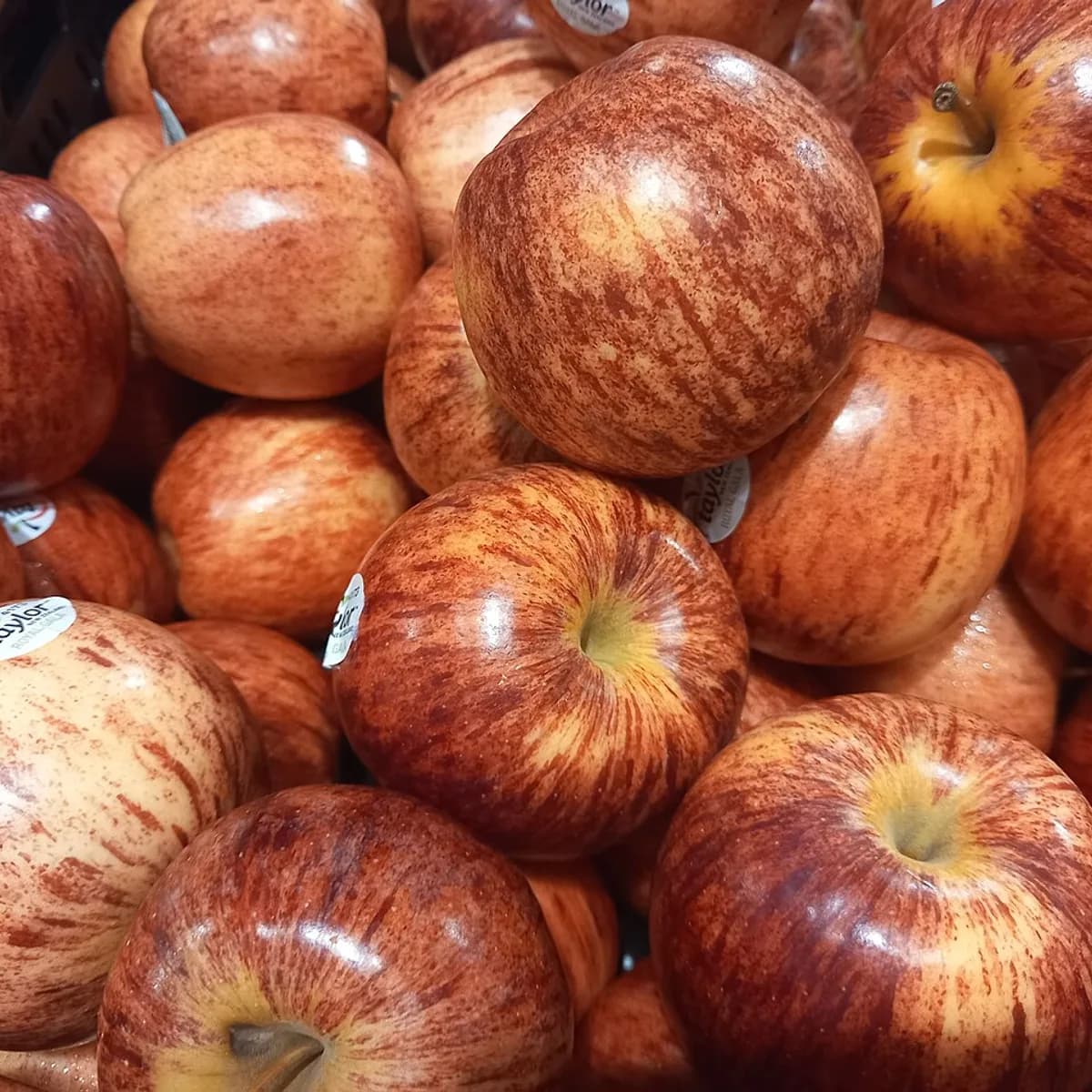 Crisp Royal Gala Apples 1.5 kg view 1