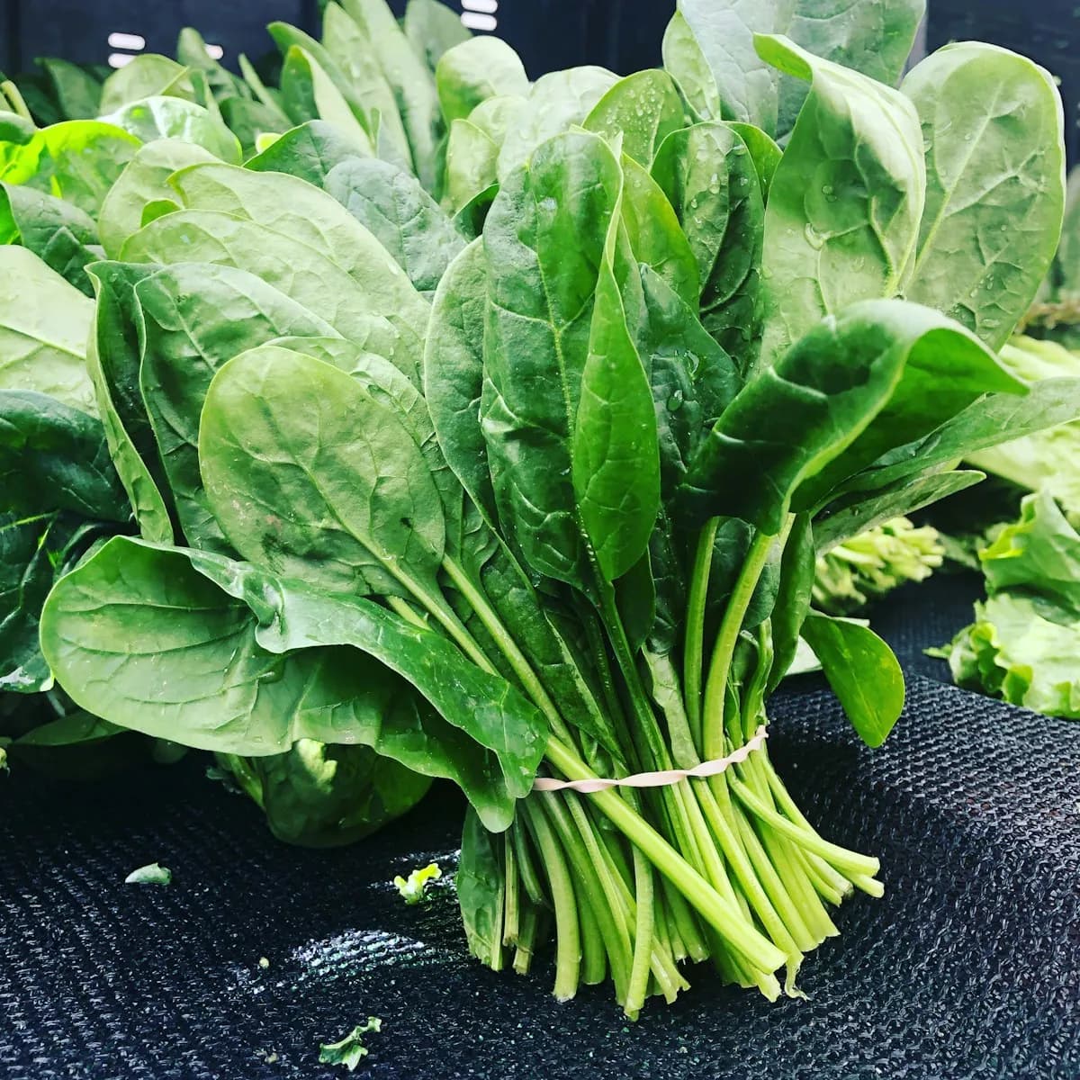 Tender Baby Spinach Leaves 200 g view 1