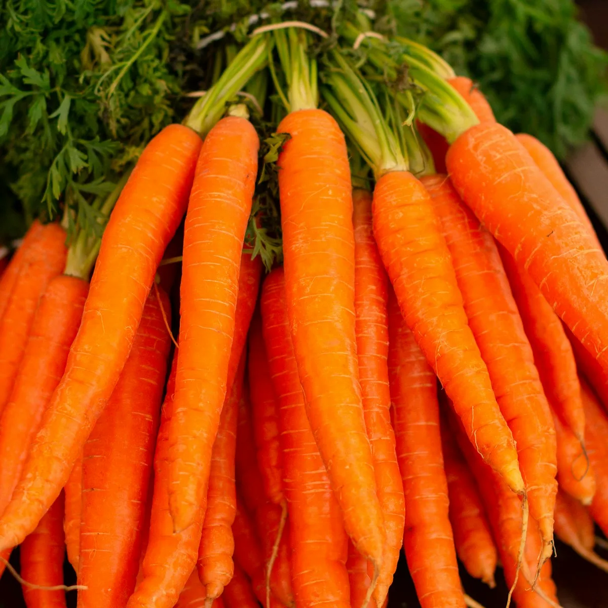 Sweet Crunchy Baby Carrots 1 kg view 1