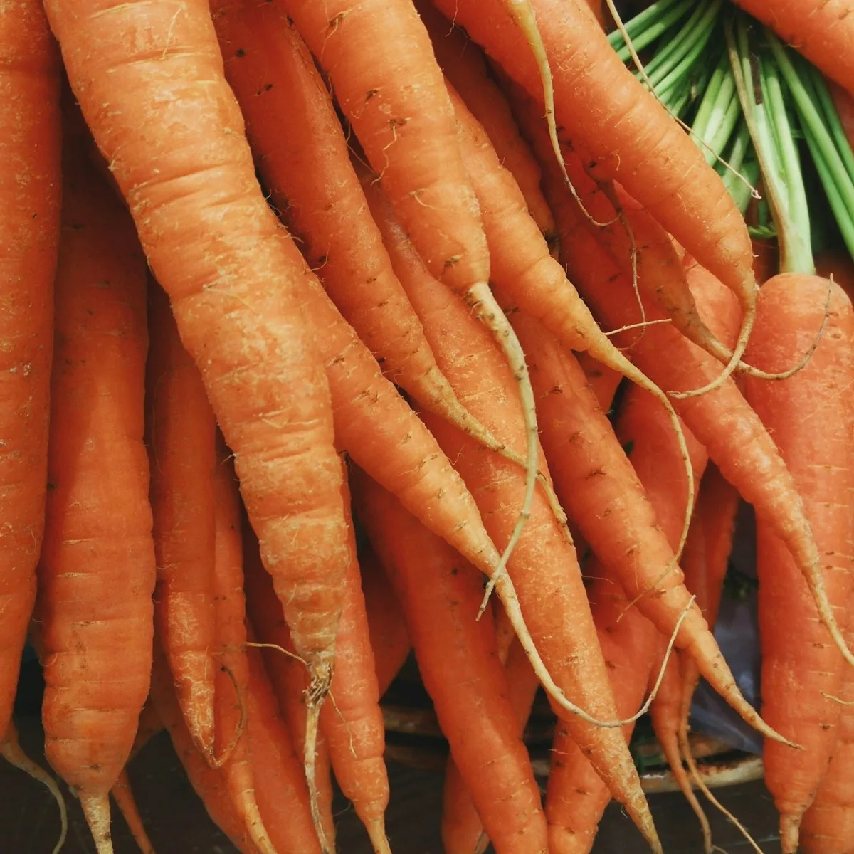 Sweet Crunchy Baby Carrots 1 kg view 2