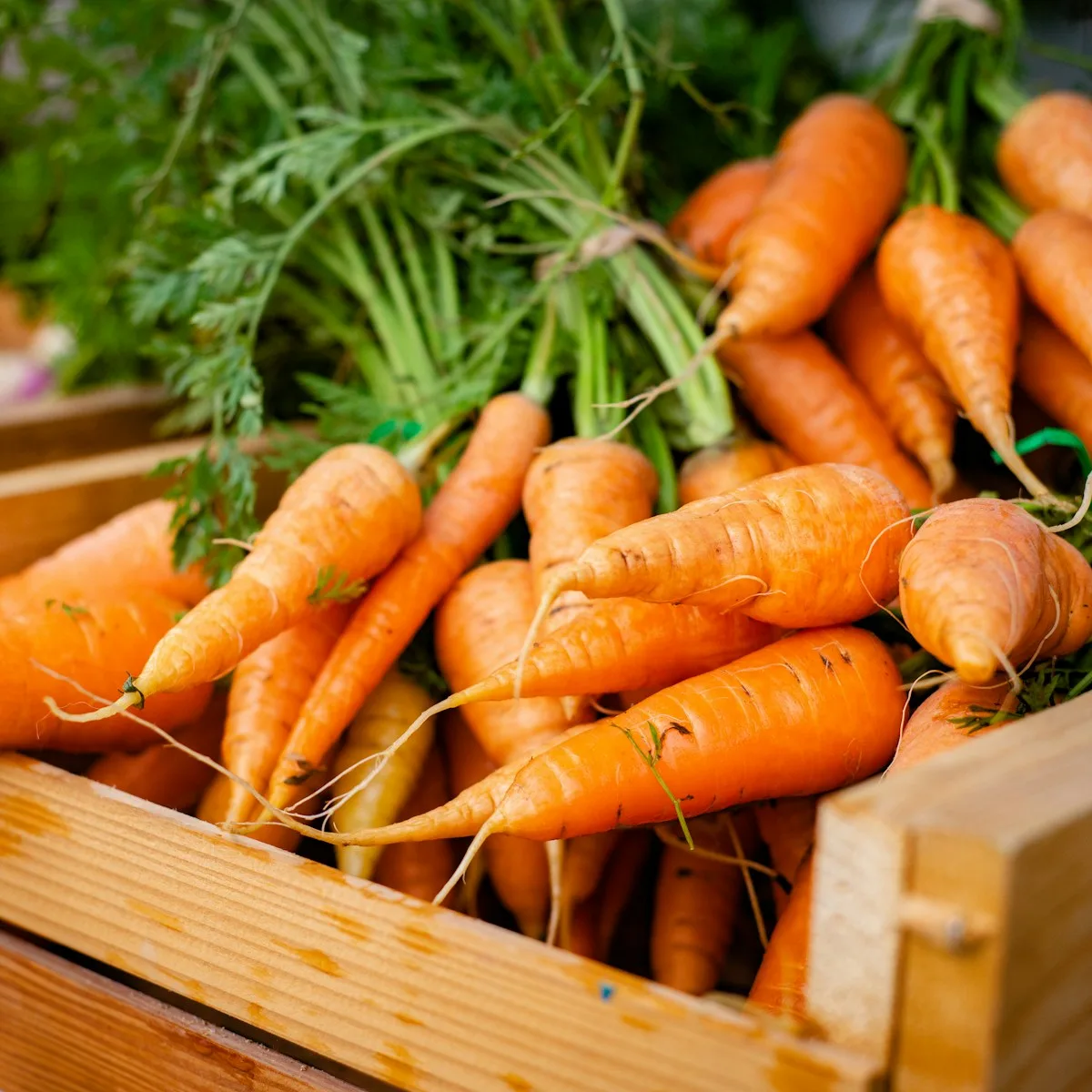 Sweet Crunchy Baby Carrots 1 kg view 3