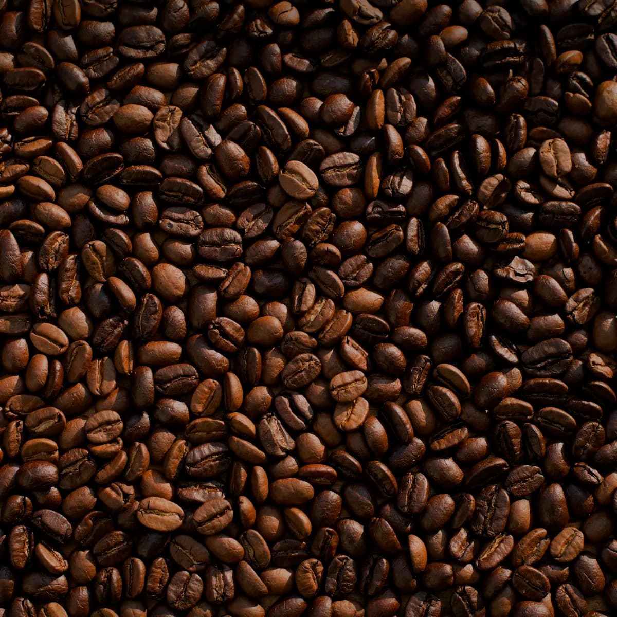African Blend Medium Dark Roast Coffee Beans 1 kg view 2