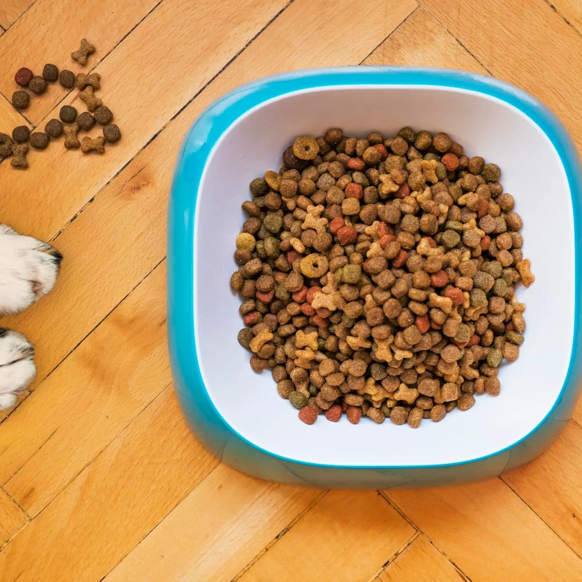 Grain Free Free Range Beef Adult Dog Food 8 kg view 1