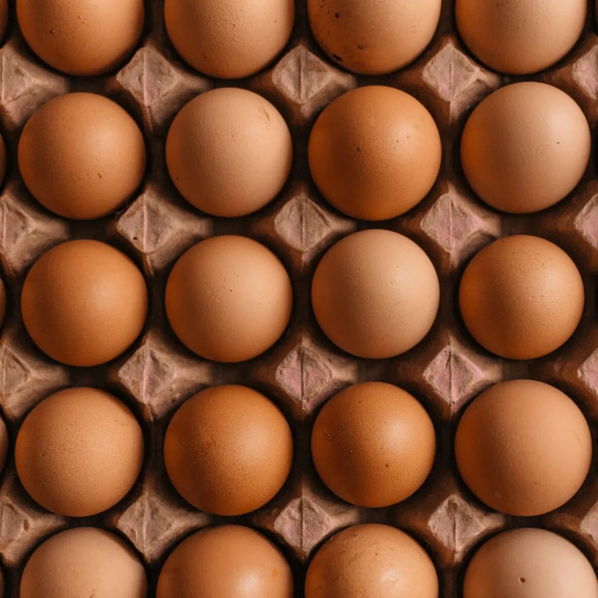 Farm Fresh Free Range Large Eggs 18 Pack view 1