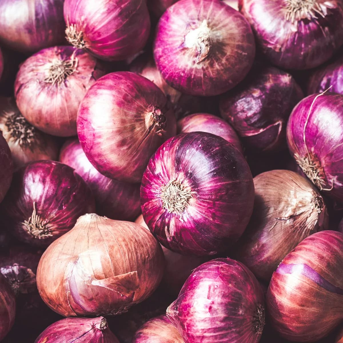 Sweet Mild Red Onions 1 kg view 2