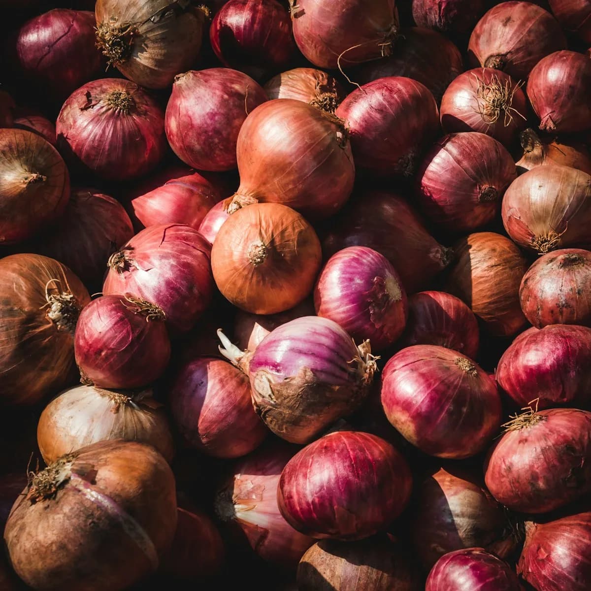Sweet Mild Red Onions 1 kg view 3