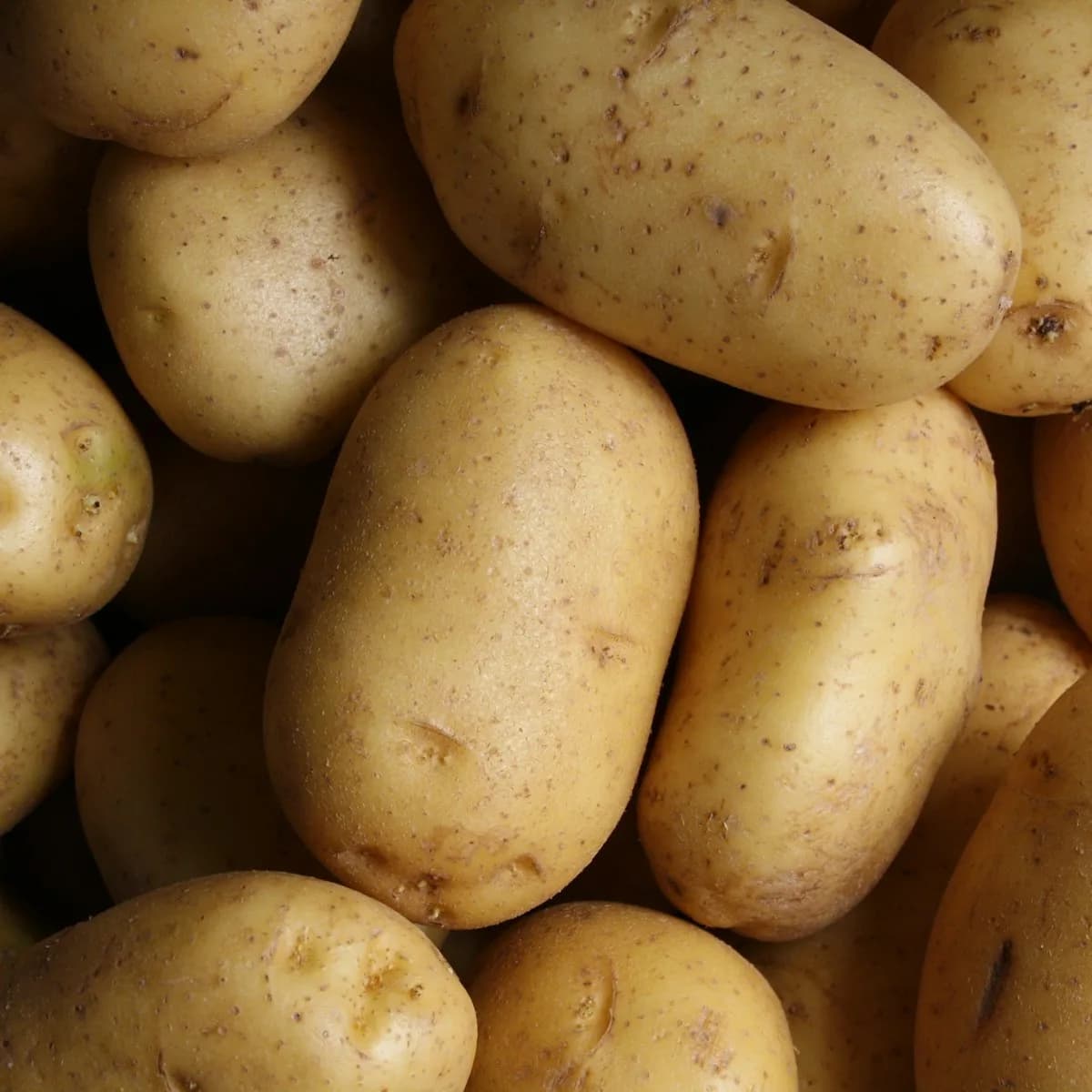 Orange Flesh Sweet Potatoes 2 kg view 3