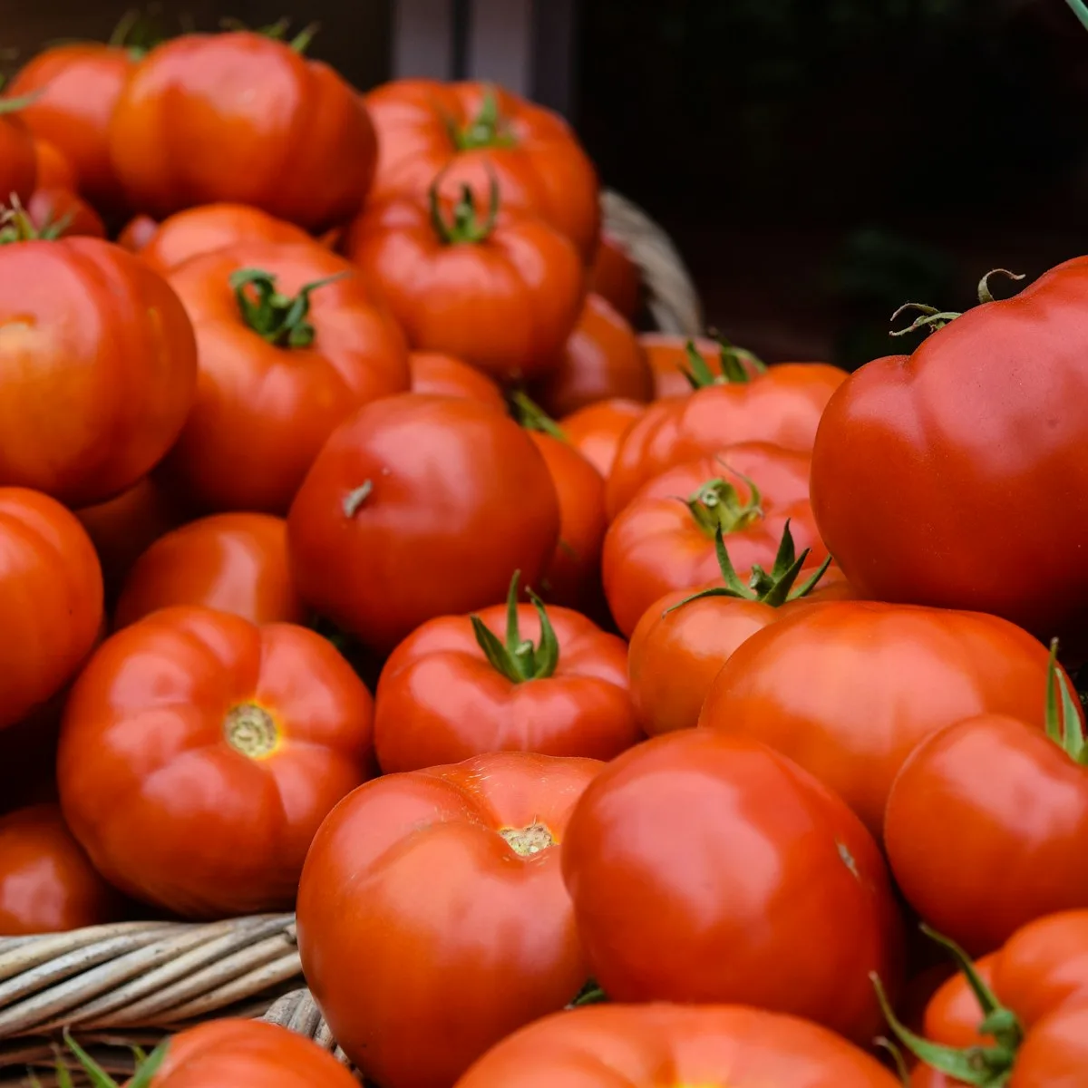 Vine Ripened Roma Tomatoes 1 kg view 3