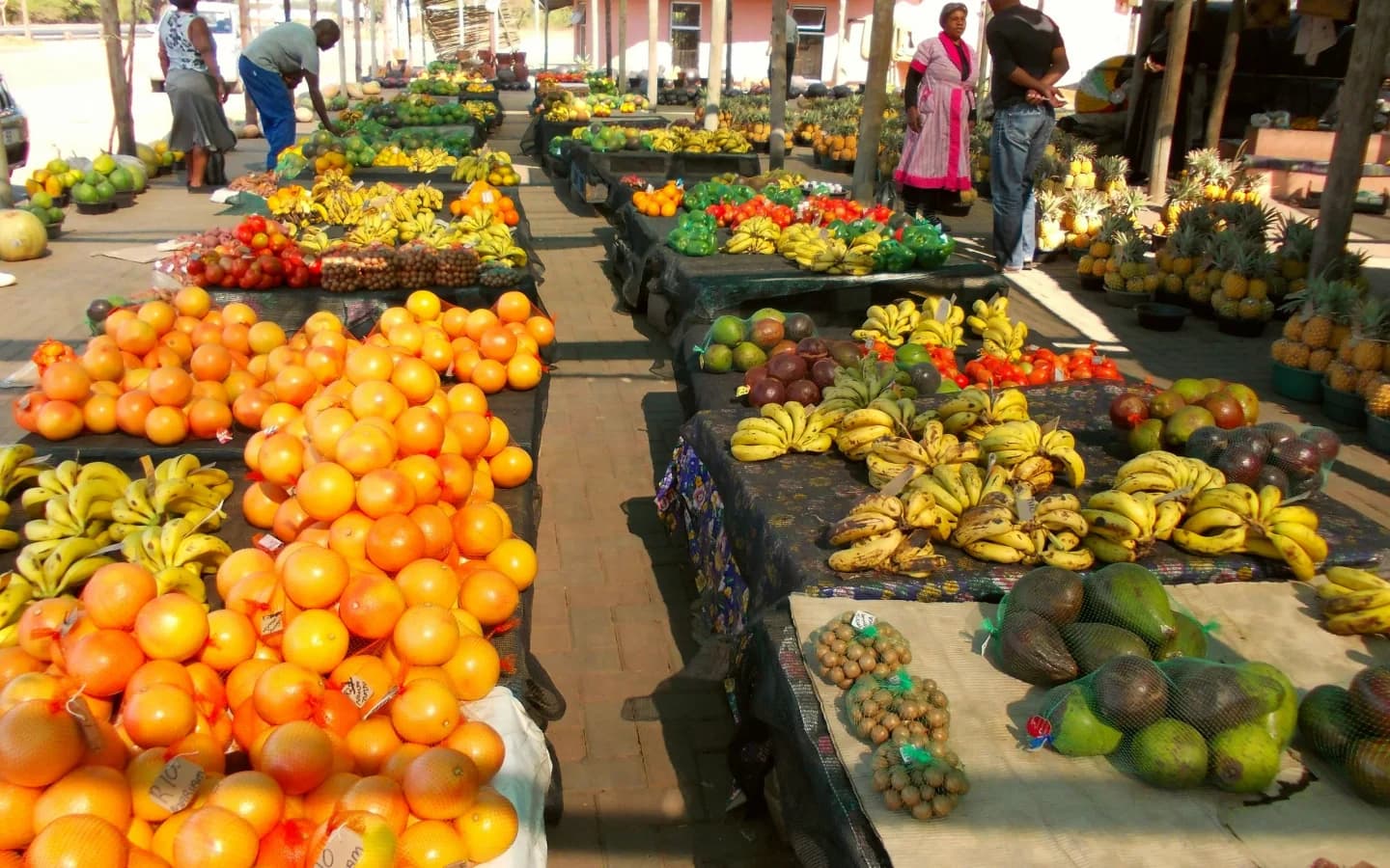 Crates of fresh South African market fruit ready for local grocery dispatch