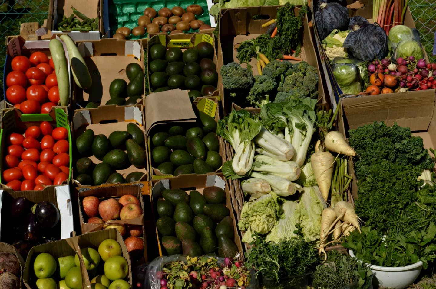 Farm fresh greens and market vegetables packed for delivery